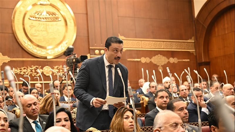 النائب محمد رزق