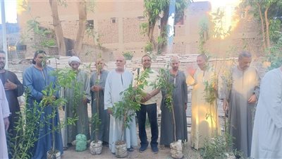 شؤون البيئة بقنا تواصل جهودها لنشر ثقافة التشجير والحفاظ على البيئة