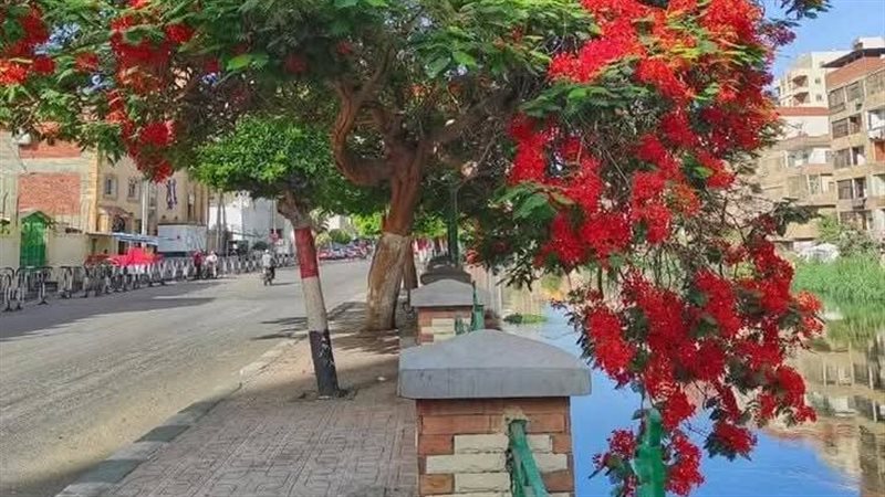 زراعة الأشجار