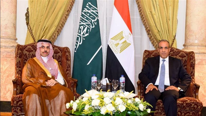 وزيرا خارجية مصر