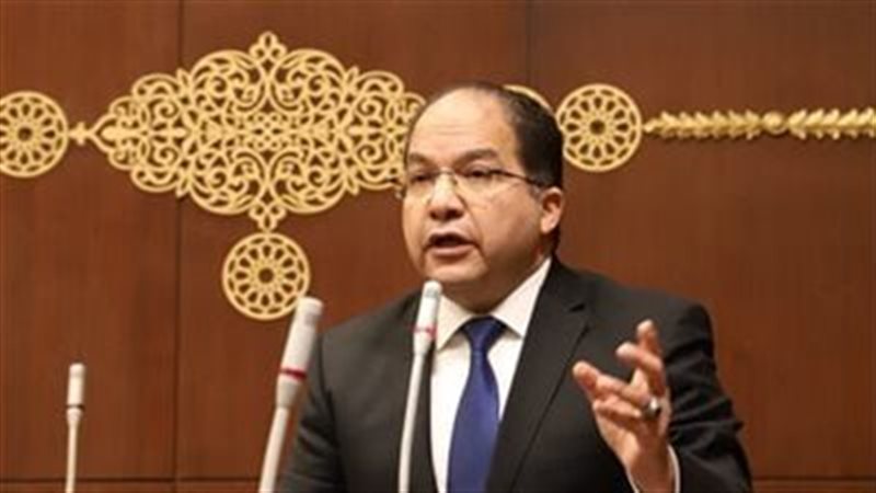 النائب عادل اللمعي