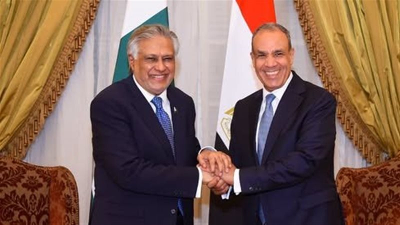 وزير الخارجية يستقبل