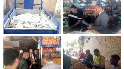 التحفظ على سلع وضبط مواد صناعية وفراخ نافقة بحملات مختلفة ببنى سويف |صور