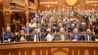 توافق بين أعضاء الشيوخ لضرورة الإسراع في تعديل قانون الشركات الحالي