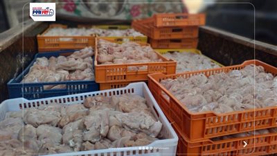  ضبط نصف طن بانية وصدور دجاج فاسدة بمطعم شهير بالفيوم 