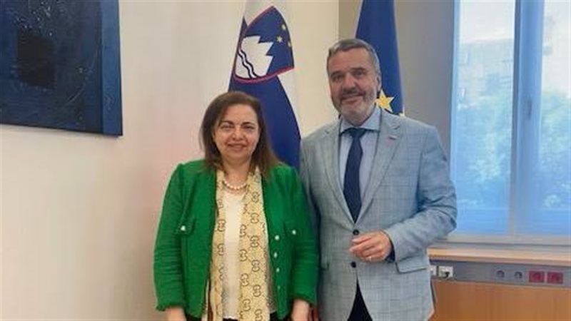 وزيرسلوفينيا الجديدة