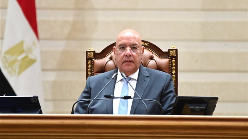 هشام بدوي