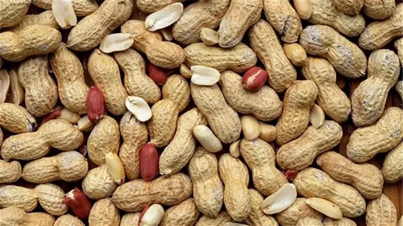 الفول السوداني