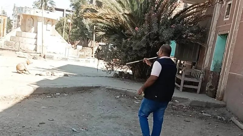 حملات تطعيم الكلاب في أسوان