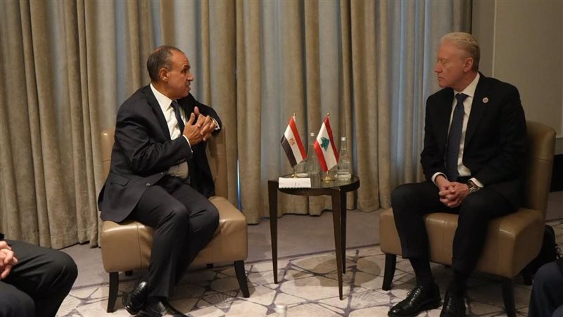 وزيرا خارجية مصر