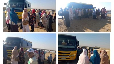 مأساة على الطريق .. معلمات بنى سويف يسردن لـ نيوز رووم التفاصيل  