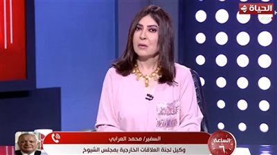 العرابي: المفاوضات الأمريكية الإيرانية عنوانها الغموض البناء.. ولبنان الضحية