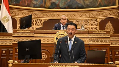 محمد رزق: 3.74 مليون مشروع صغير ومتوسط توفر 5.8 مليون فرصة عمل في مصر