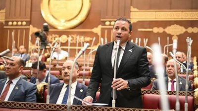 السكري: الدولة بقيادة الرئيس السيسي تواصل تعزيز منظومة الحماية الاجتماعية