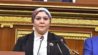 برلمانية: زيادة المعاشات تؤكد حرص السيسي على دعم المواطنين