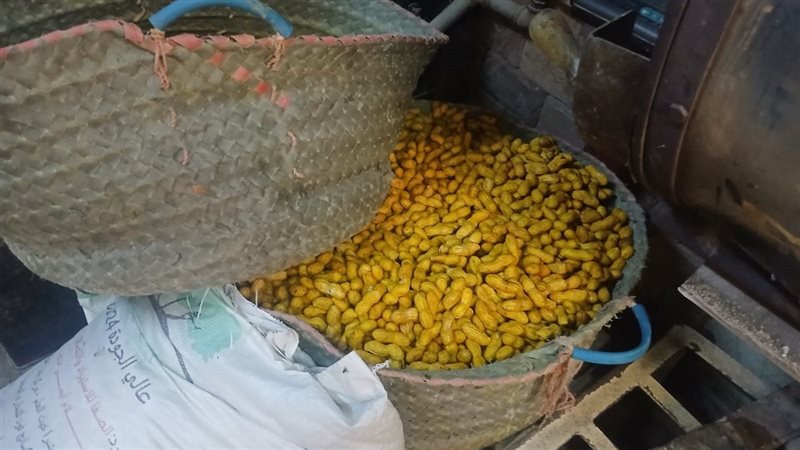 صورة من المكان
