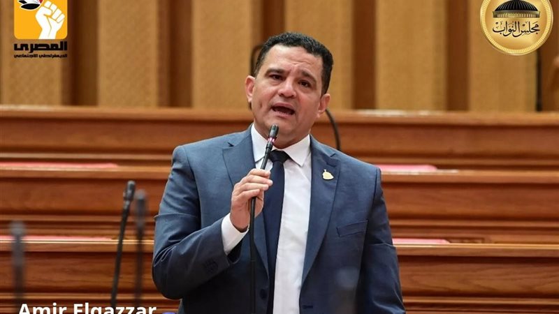 النائب أمير الجزار،