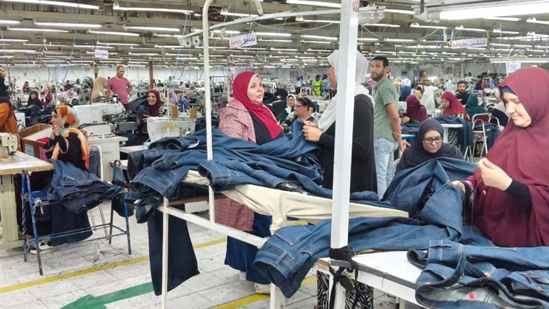 مديرية العمل بالإسماعيلية