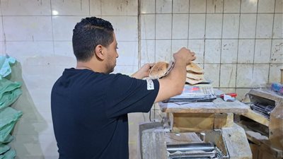 محافظ الغربية يتابع نتائج الحملات التموينية وسلامة الغذاء 