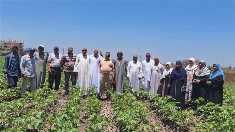 المكافحة