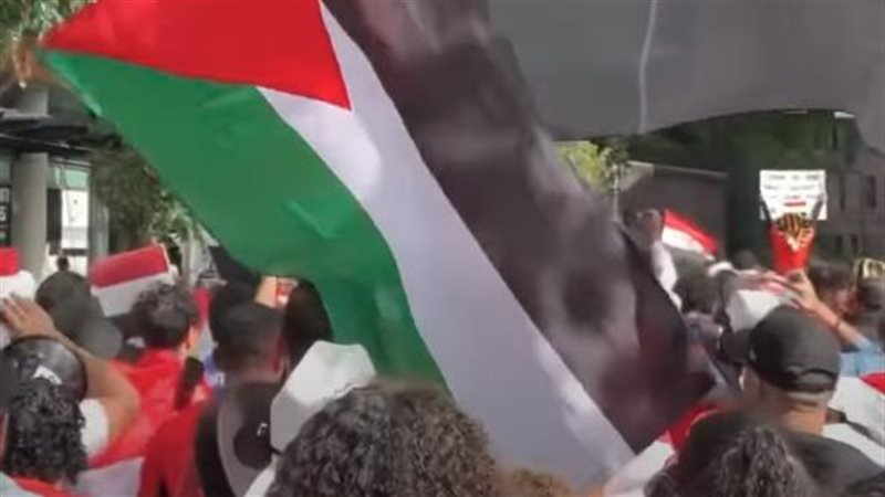 جماهير منتخب مصر