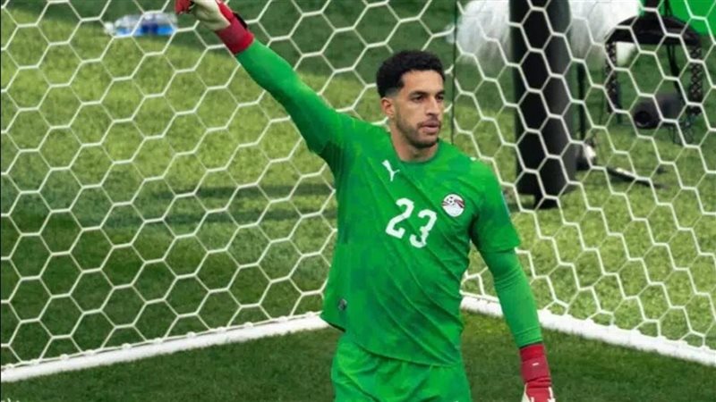 مصطفى شوبير