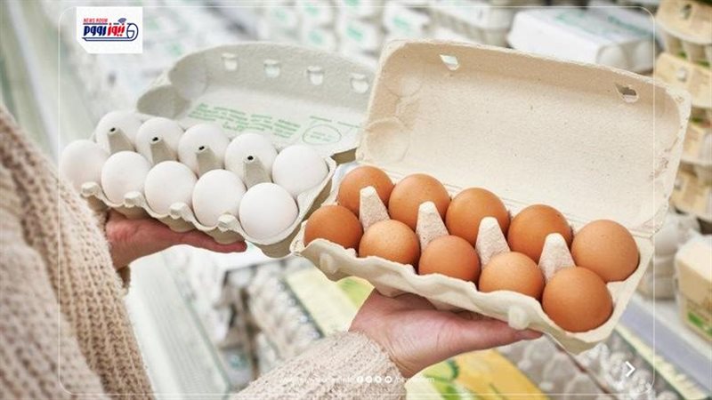 سعر كرتونة البيض
