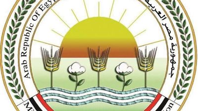 164 ألف فدان قطن حتى الآن.. والزراعة: المؤشرات النهائية تعلن نهاية يونيو