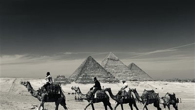 جامعة القاهرة تفتتح معرض التصوير الفوتوغرافي الوثائقي 