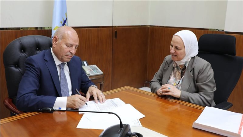 محافظ القاهرة 
