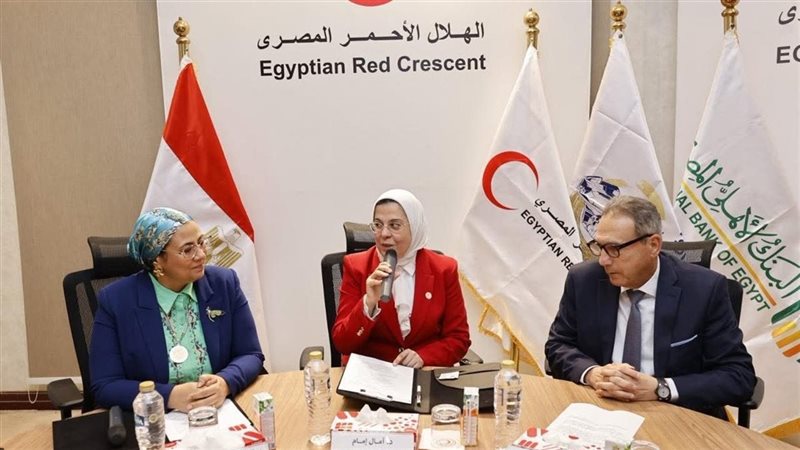 المستشارة أمل عمار