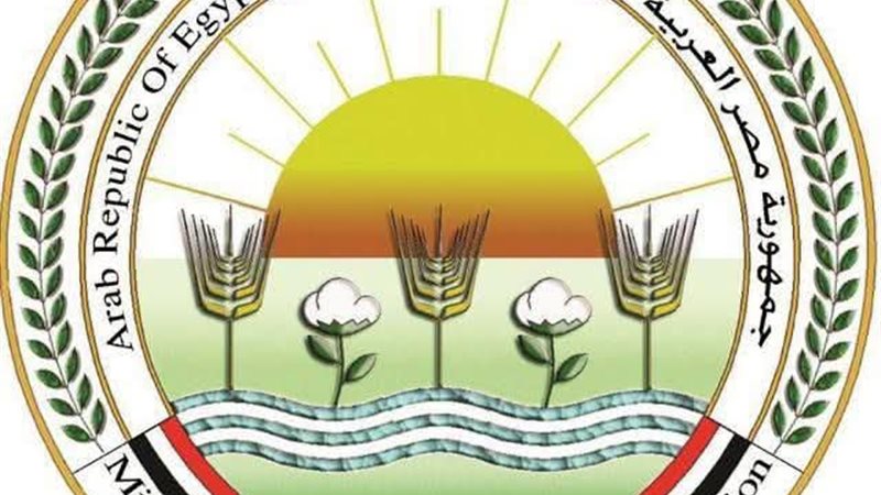 الزراعة 