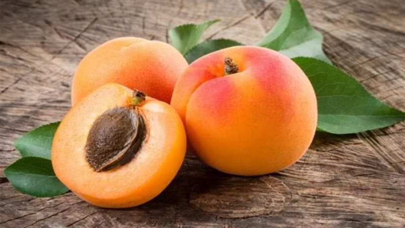 بذور المشمش