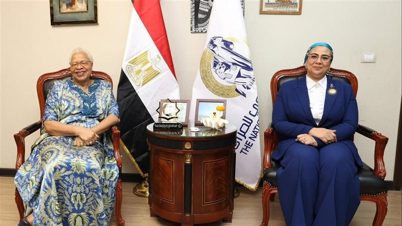 المستشارة أمل عمار 