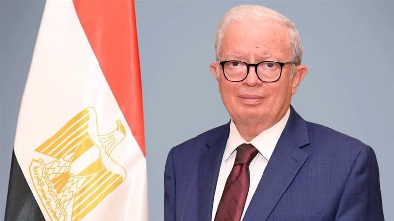 نائب رئيس الوزراء