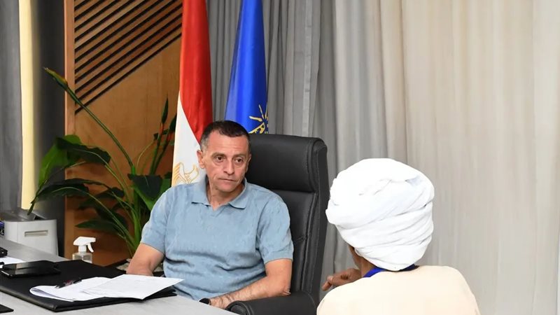 محافظ أسوان