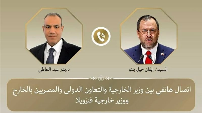 وزيرا خارجية مصر