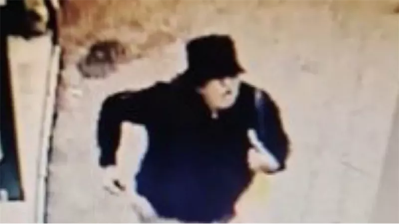 مولاكو