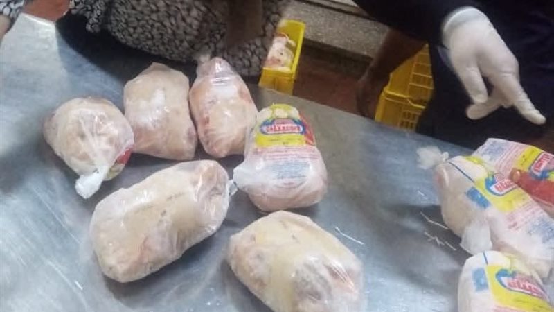 الطب البيطري بدمياط