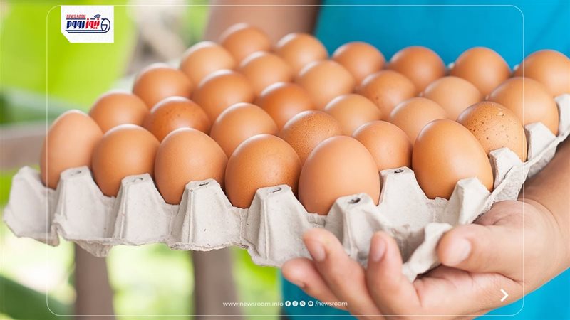 سعر كرتونة البيض