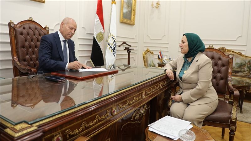 محافظ القاهرة 
