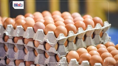 تراجع سعر كرتونة البيض اليوم الخميس 2 يوليو 2026.. الأبيض يبدأ من 90 جنيها