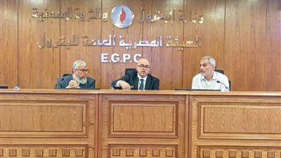 «هيئة البترول» تناقش استخدام الغمر الحرارى لتأمين كفاءة تشغيل مراكز البيانات