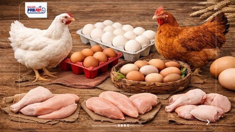 أسعار الفراخ والبيض اليوم