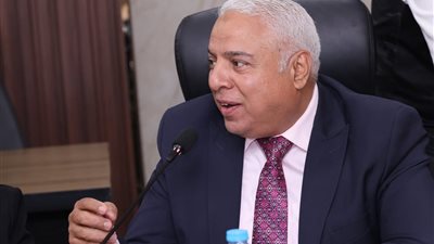 علاء نصر الدين: توطين صناعة الأخشاب يوفر 1.5 مليار دولار من الواردات