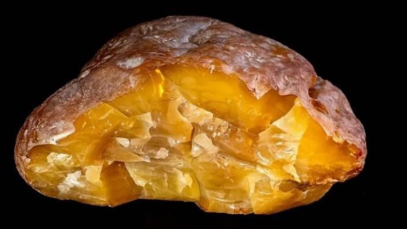 قطعة الكهرمان