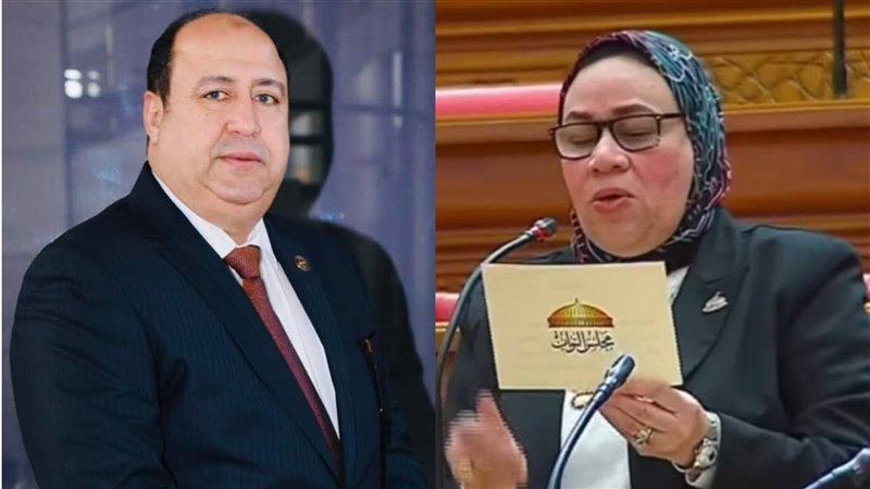 النائبة هبة عبد العظيم
