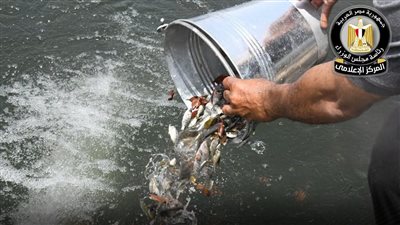 إطلاق 5.5 مليون وحدة زريعة أسماك متنوعة بعدد من المحافظات