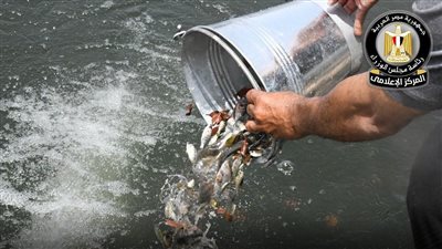    خطط لتنمية المسطحات المائية ودعم المخزون السمكي في مصر