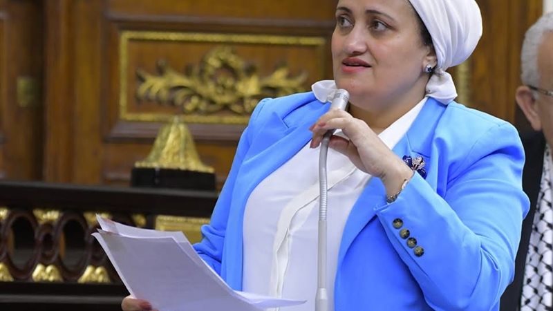 النائبة سناء السعيد